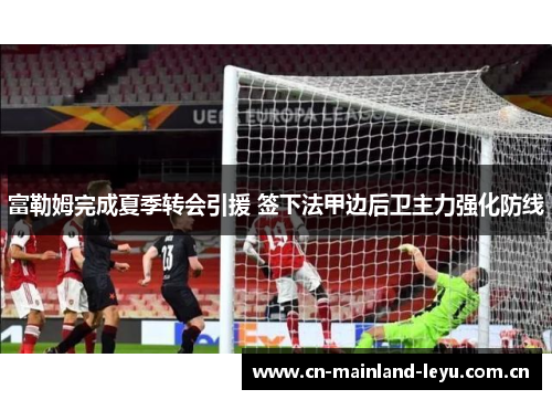 富勒姆完成夏季转会引援 签下法甲边后卫主力强化防线